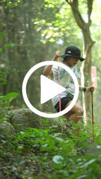 BIB:  <button type="button" onclick="openModal(27943361)" class="btn btn-primary btn-sm float-right" data-toggle="modal" data-target=".modal-high-quality">
                <i class="fa fa-download"></i> Download
                </button>